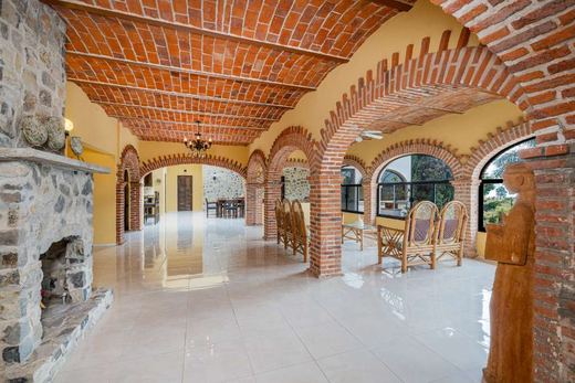 Hacienda Cisnes, photograph 4