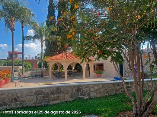 EL Palmar Courtyard, photograph 15