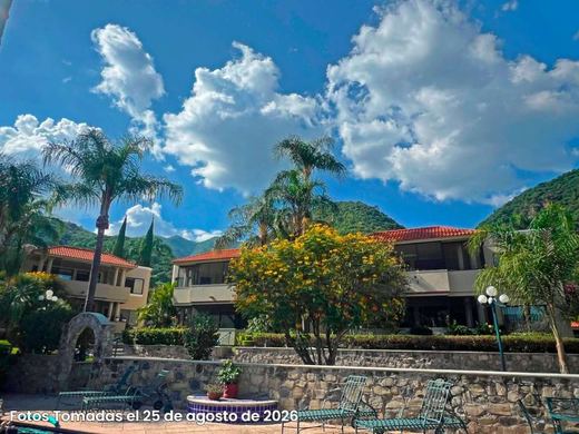 EL Palmar Courtyard, photograph 16