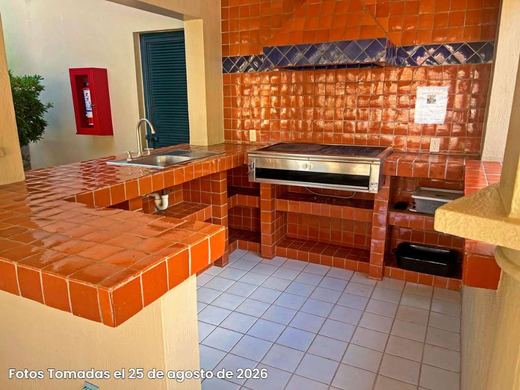 EL Palmar Courtyard, photograph 17