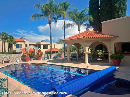 EL Palmar Courtyard, photograph 18