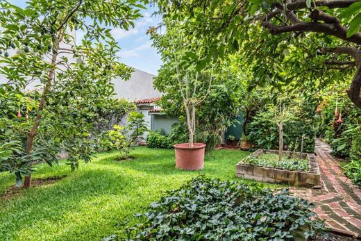 Villa Nova Tranquility, photograph 14