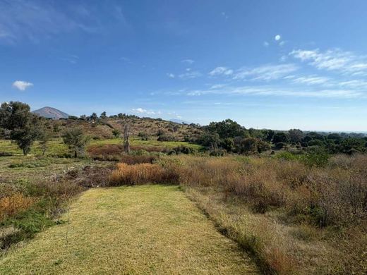 Hacienda de La Labor 4/4, photograph 16
