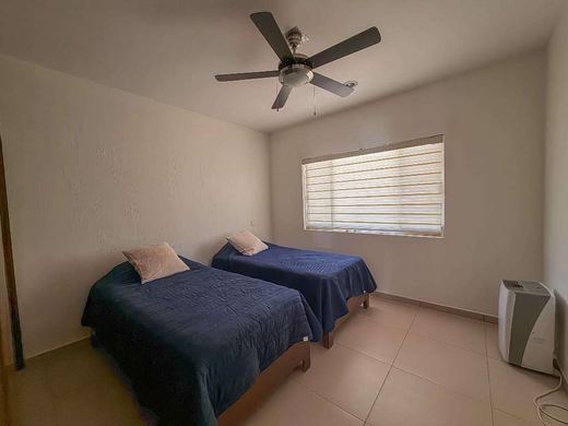 Catarinas 3, photograph 11