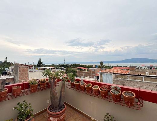 Greensky, photograph 15