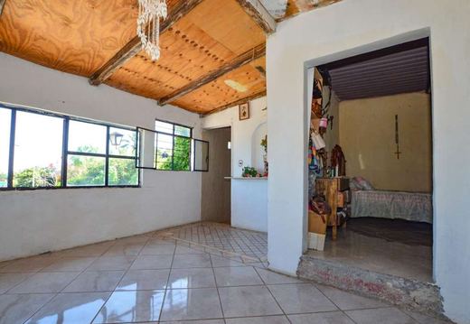 Casa Tepehua, photograph 12