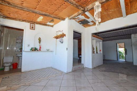 Casa Tepehua, photograph 13