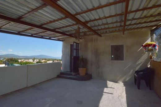 Casa Tepehua, photograph 16