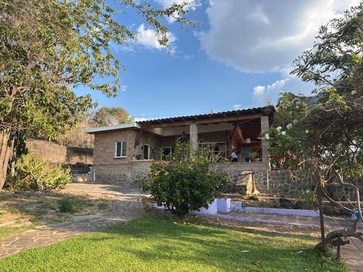 Garden Paradise in San Luis Soyatlán
