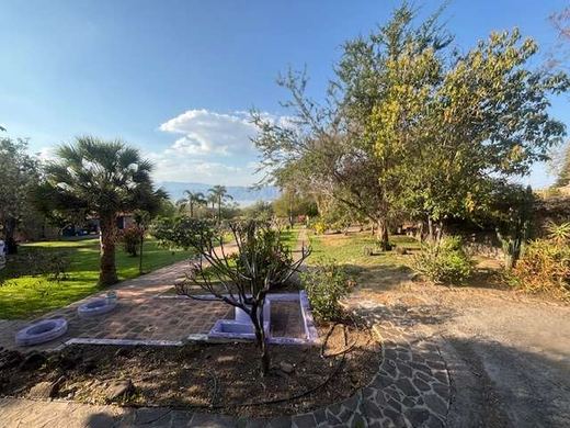 Garden Paradise, photograph 7