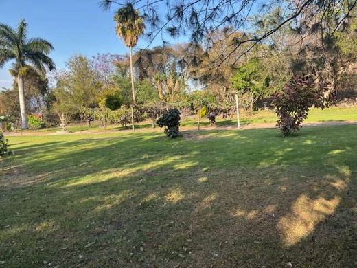 Garden Paradise, photograph 9