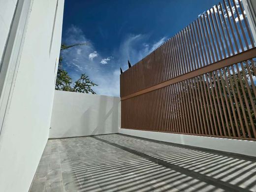 Lúmina, photograph 15