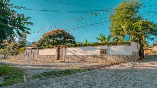 Casa Ross - The Quiet Garden in San Antonio Tlayacapan