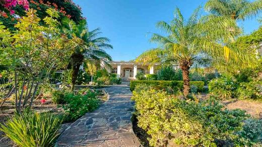 Casa Ross - The Quiet Garden, photograph 4