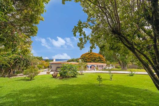 Hacienda Beebe, photograph 14
