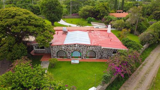 Hacienda Beebe, photograph 5
