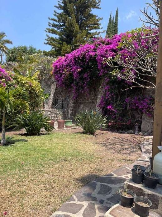 Casa Chroma, photograph 16