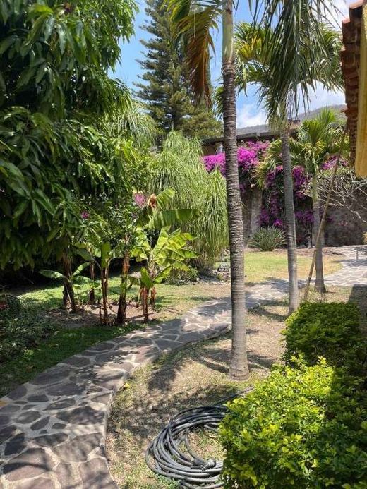 Casa Chroma, photograph 17