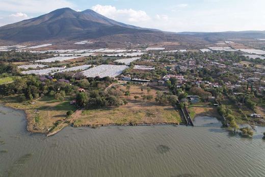 San Cristóbal Reserva del Lago, photograph 15