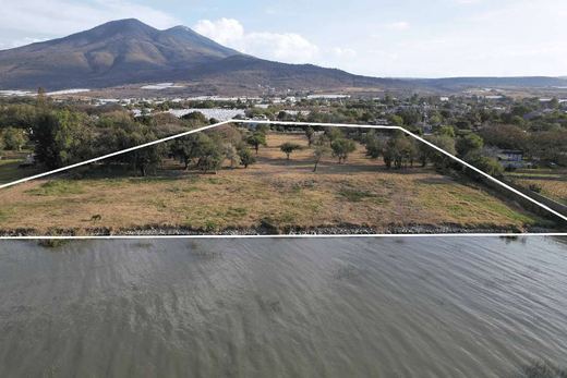 San Cristóbal Reserva del Lago, photograph 5