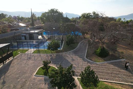 San Cristóbal Reserva del Lago, photograph 6