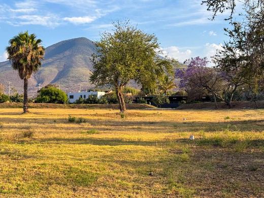 San Cristóbal Reserva del Lago, photograph 9