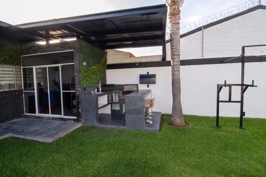 Casa Georgina, photograph 13