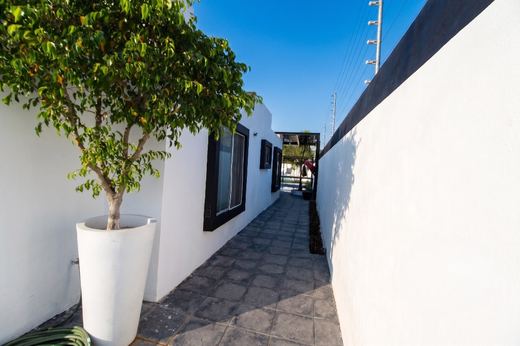 Casa Georgina, photograph 16