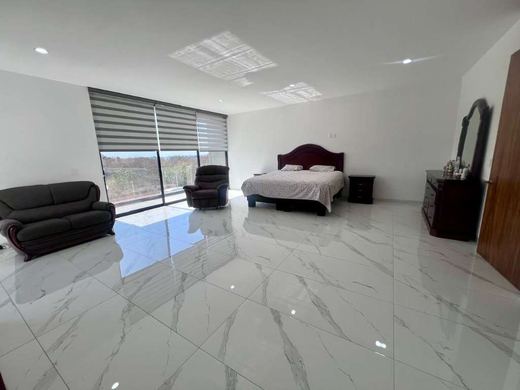 Jewel VDL, photograph 8