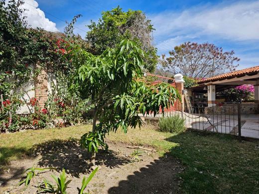 San Nicolás Villa & Casitas, photograph 10