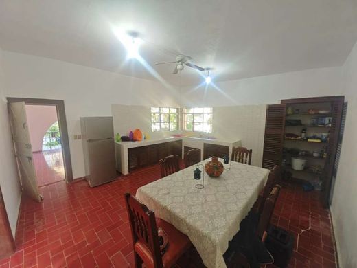 EL Jardin DE Lupita, photograph 11
