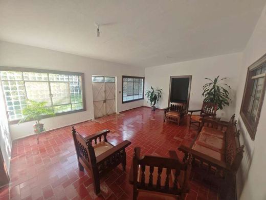 EL Jardin DE Lupita, photograph 15