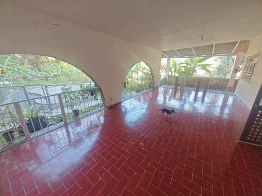 EL Jardin DE Lupita, photograph 16