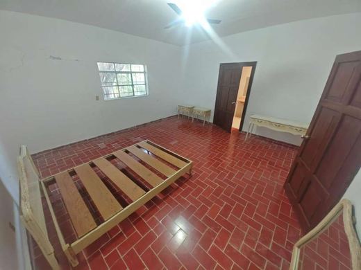 EL Jardin DE Lupita, photograph 17