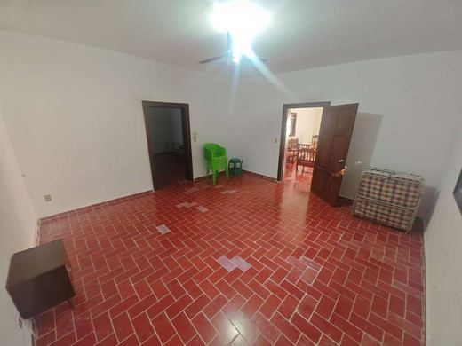 EL Jardin DE Lupita, photograph 18