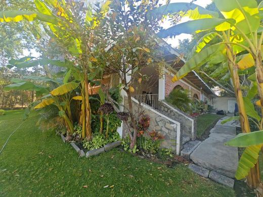 EL Jardin DE Lupita, photograph 3