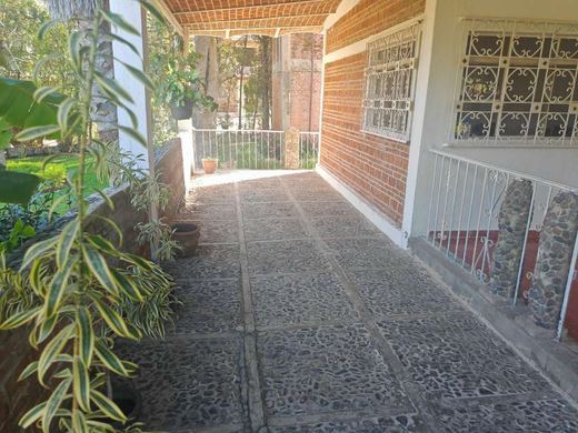 EL Jardin DE Lupita, photograph 6