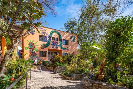 Established Income Property in Ajijic