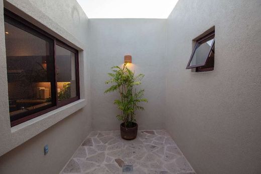 Casa Lirio #38, photograph 6