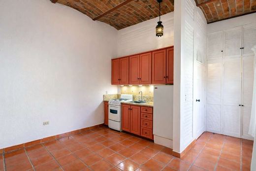 Casa Del Perico, photograph 16