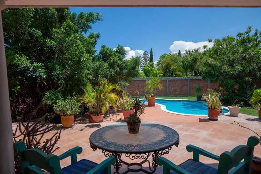 La Floresta Life, photograph 15