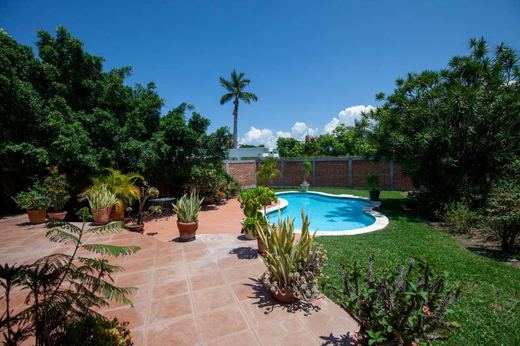 La Floresta Life, photograph 16