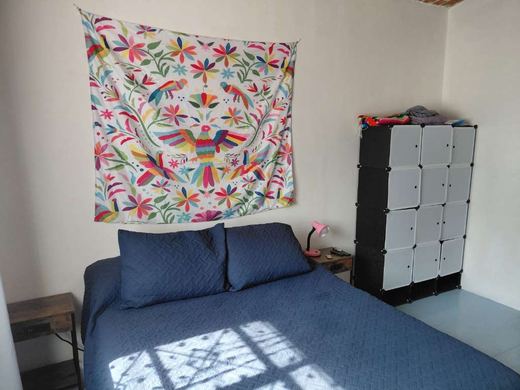 Casa Olga, photograph 8