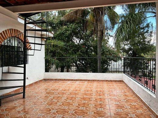 Finca Campestre, photograph 12
