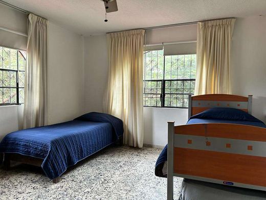 Finca Campestre, photograph 13
