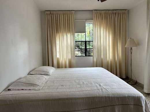 Finca Campestre, photograph 14