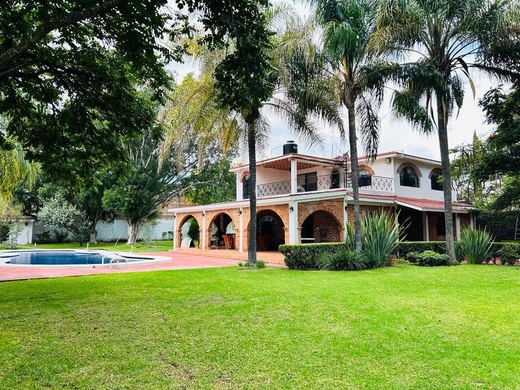 Finca Campestre, photograph 16