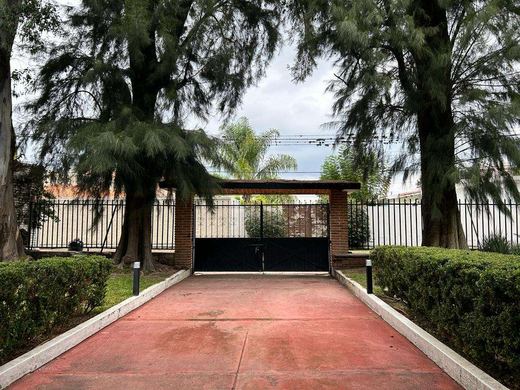 Finca Campestre, photograph 17