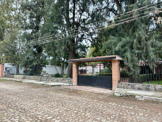 Finca Campestre, photograph 18