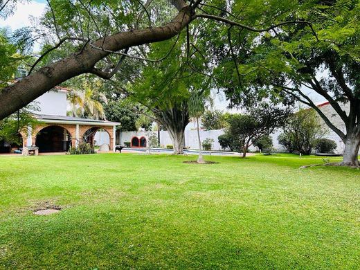 Finca Campestre, photograph 3